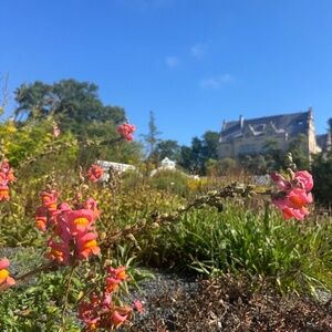 Meet your Posher, Michaela